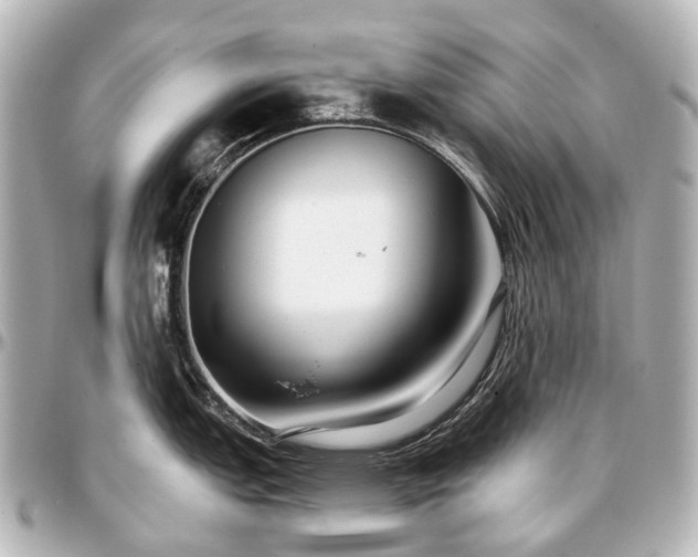 X0000097291151200802221306