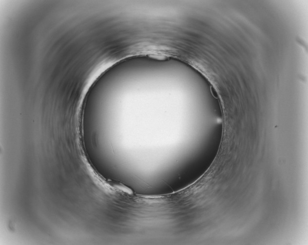 X0000097291152200802221306