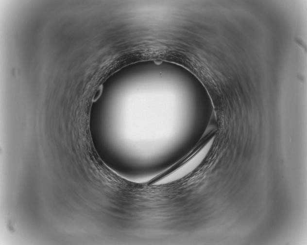 X0000097291153200802221305
