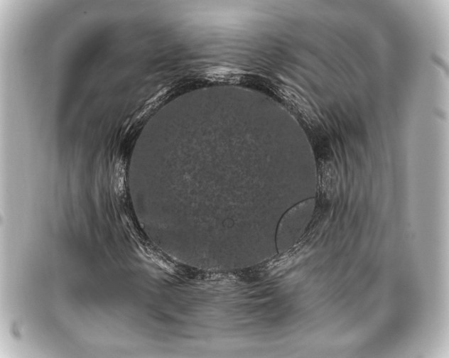 X0000097291154200802221305