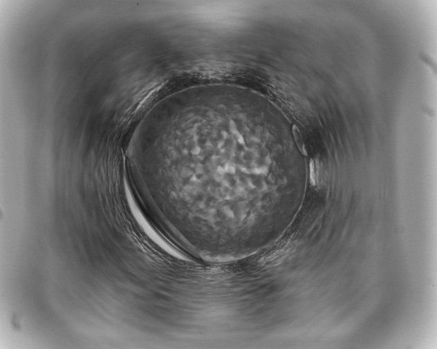 X0000097291155200802221305