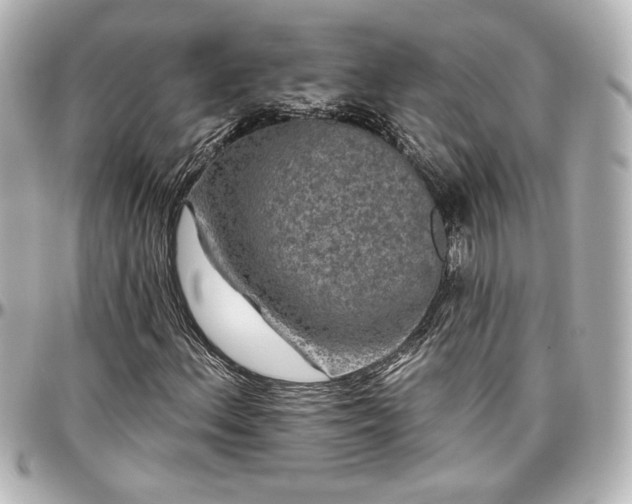 X0000097291156200802221305
