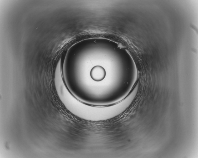 X0000097291157200802221305