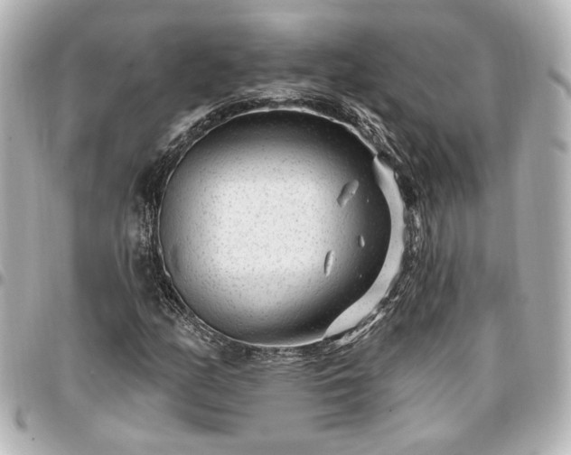 X0000097291158200802221305