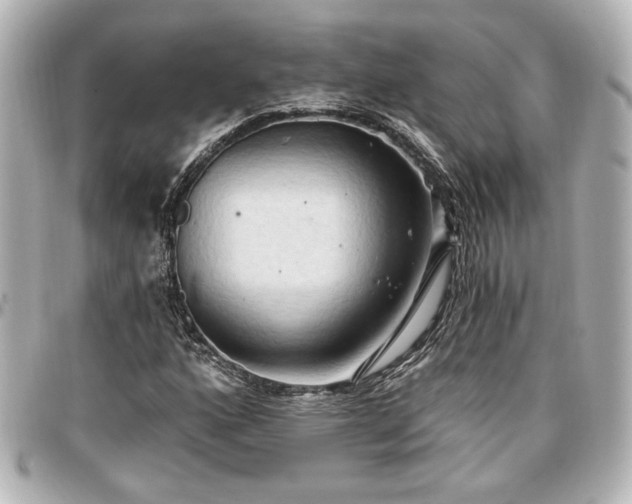X0000097291160200802221305