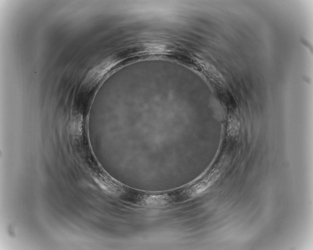 X0000097291161200802221305