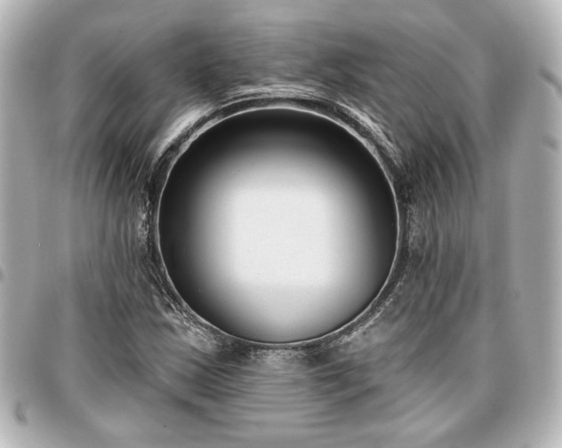 X0000097291163200802221305
