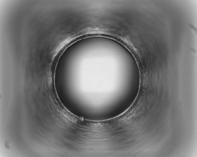 X0000097291167200802221305