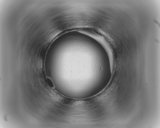 X0000097291169200802221305