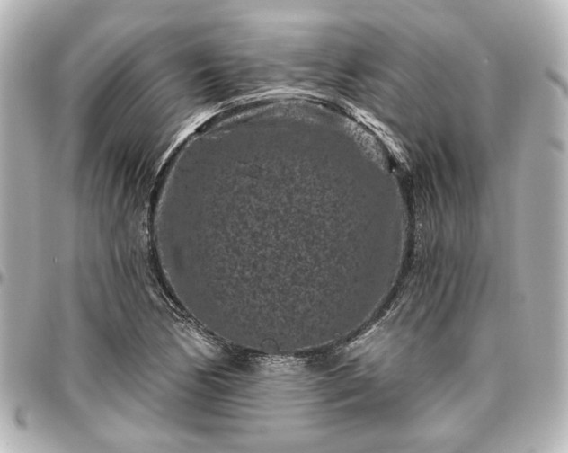 X0000097291170200802221305