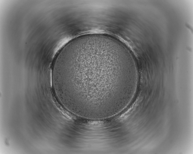 X0000097291171200802221305
