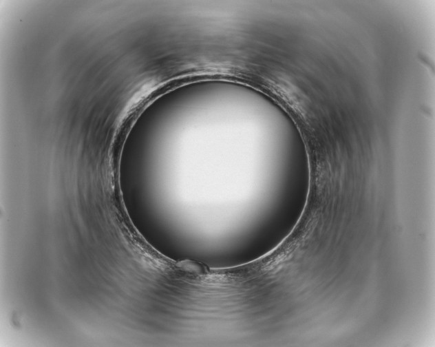 X0000097291172200802221305