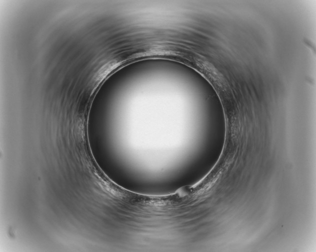 X0000097291177200802221305