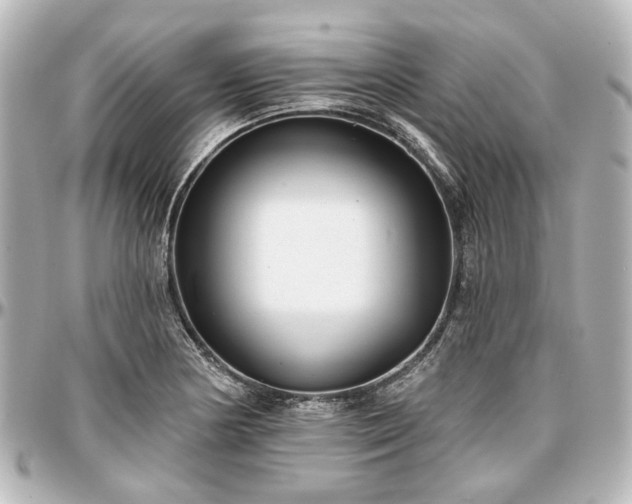 X0000097291178200802221305
