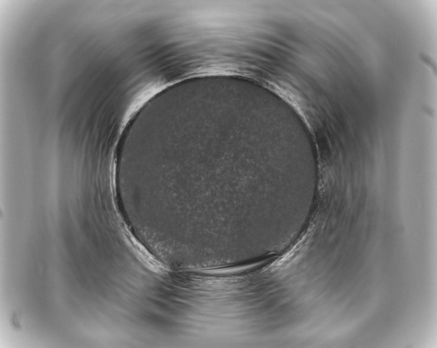 X0000097291179200802221305