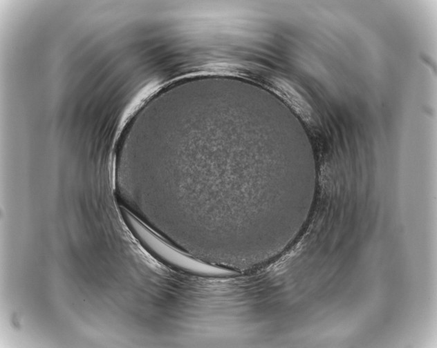 X0000097291180200802221305