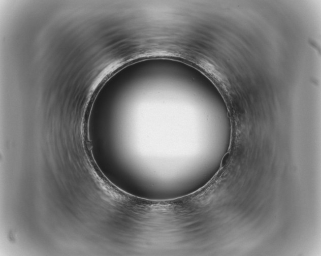 X0000097291181200802221305