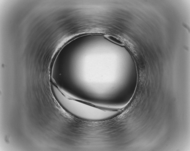 X0000097291184200802221305