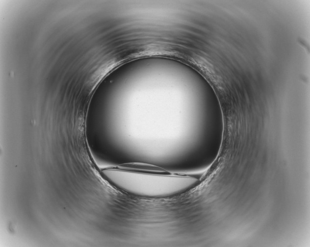 X0000097291185200802221305