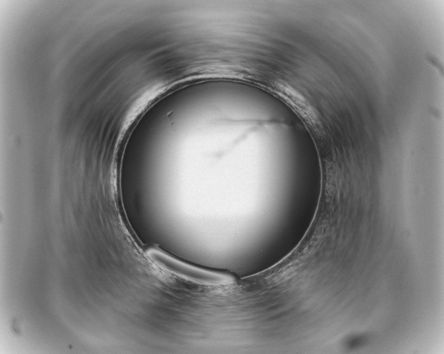 X0000097291188200802221305
