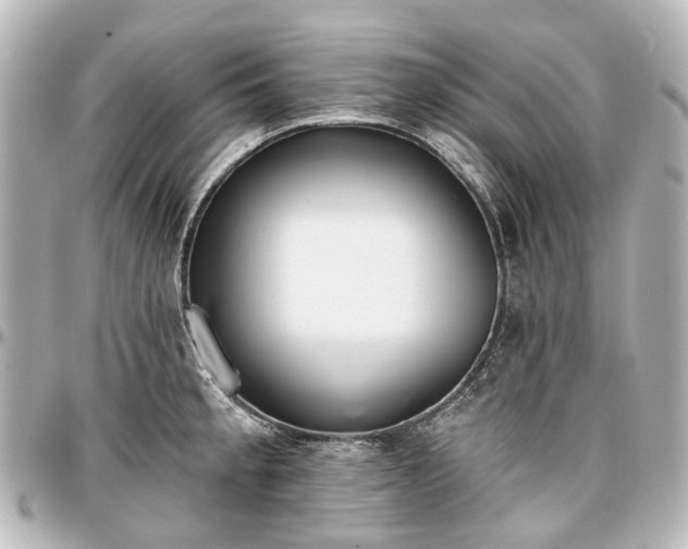 X0000097291189200802221305