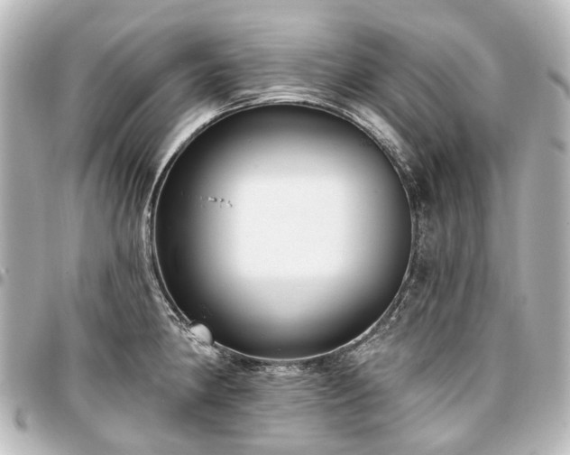 X0000097291190200802221305