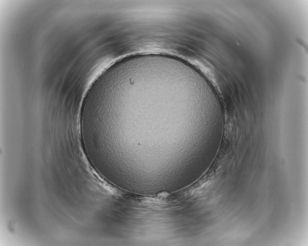 X0000097291191200802221305