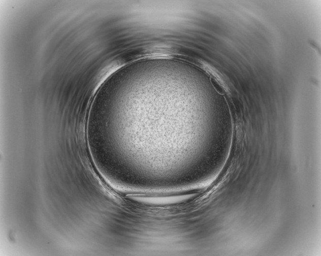 X0000097291194200802221305