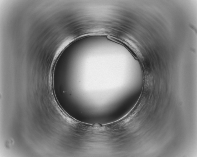 X0000097291196200802221305