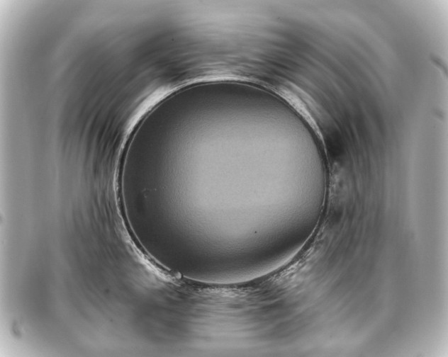 X0000097291197200802221305