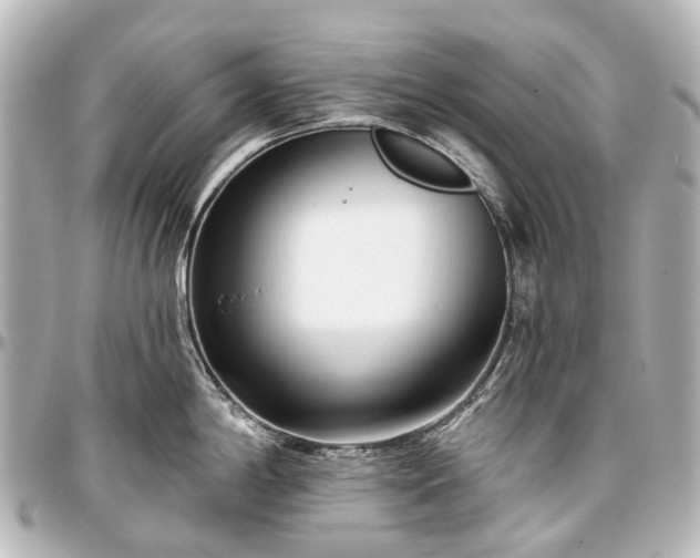 X0000097291198200802221305