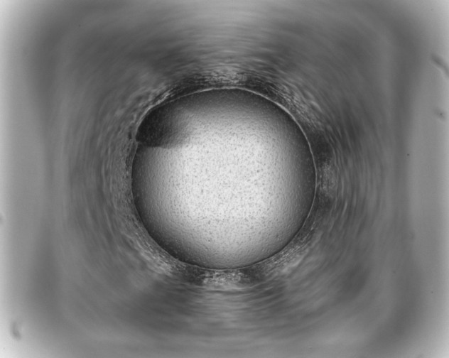 X0000097291201200802221304