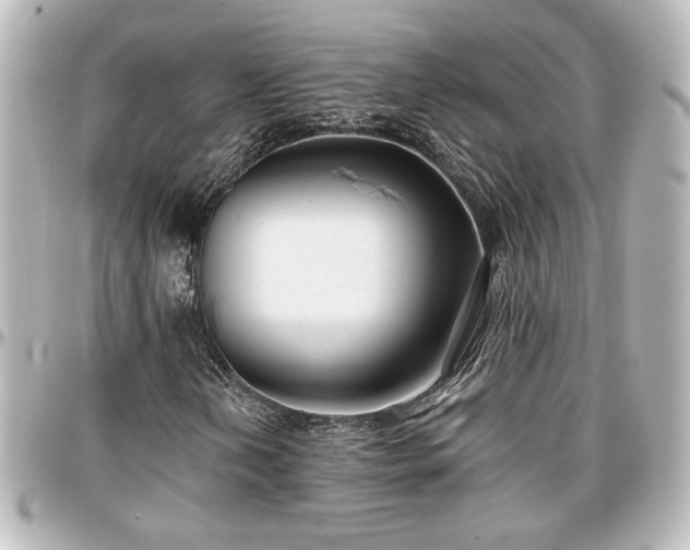 X0000097291202200802221304