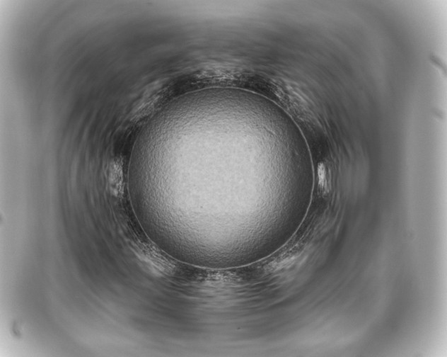 X0000097291203200802221304
