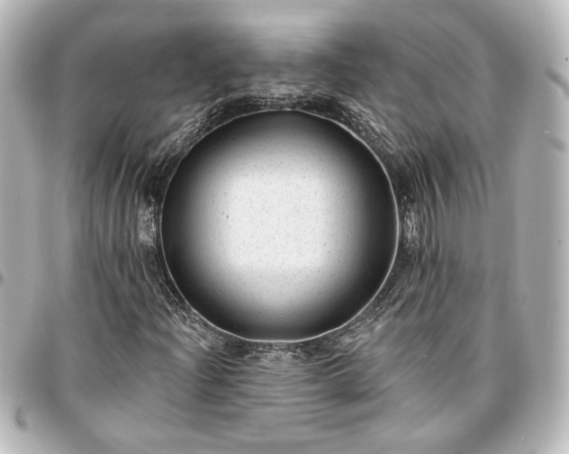 X0000097291204200802221304