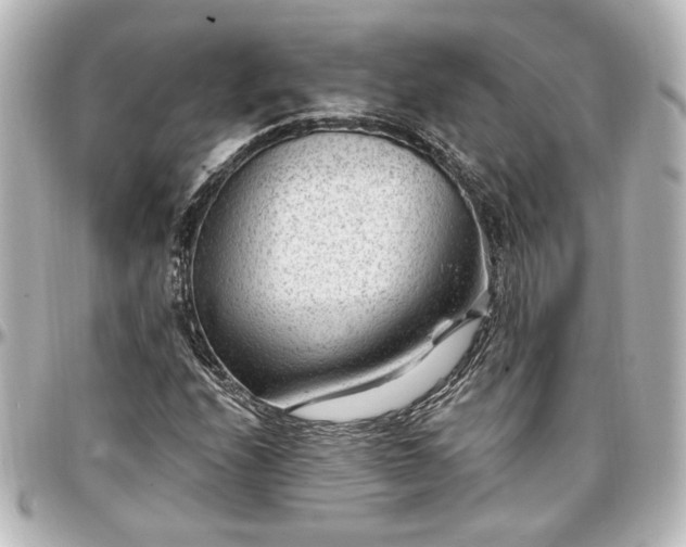 X0000097291208200802221304