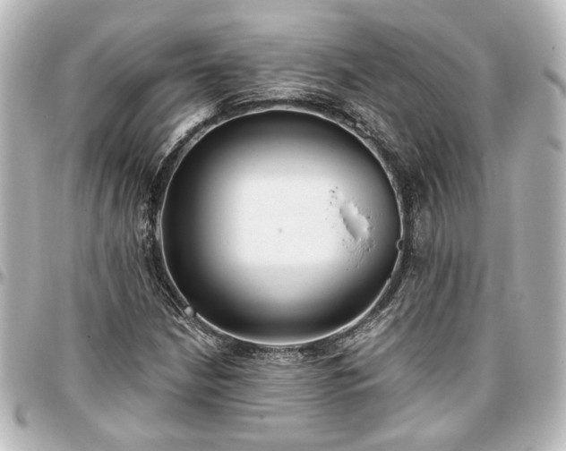 X0000097291210200802221304