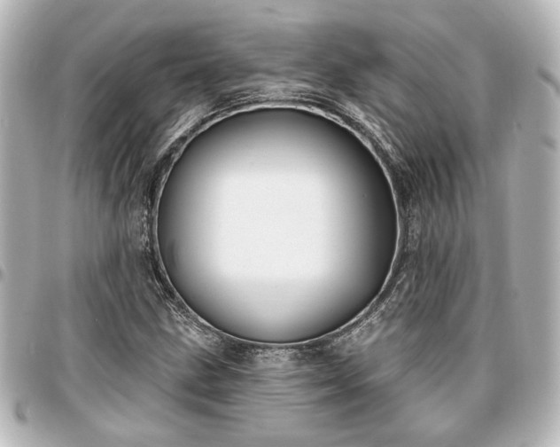 X0000097291211200802221304