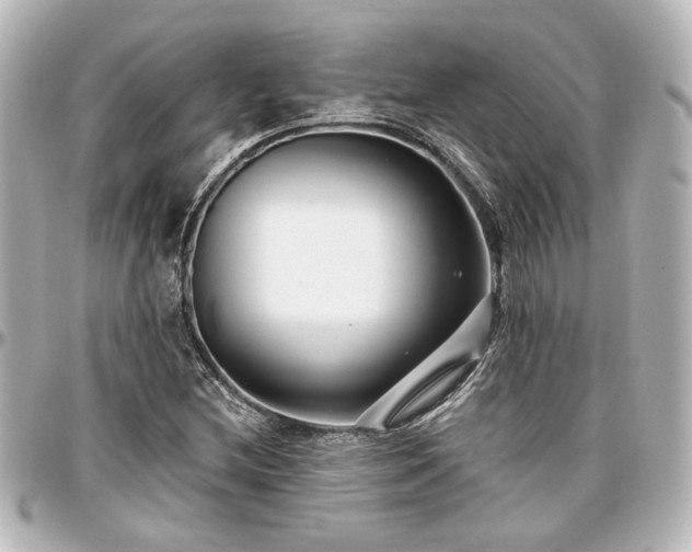 X0000097291212200802221304