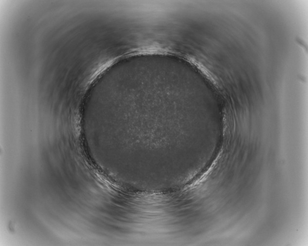 X0000097291213200802221304