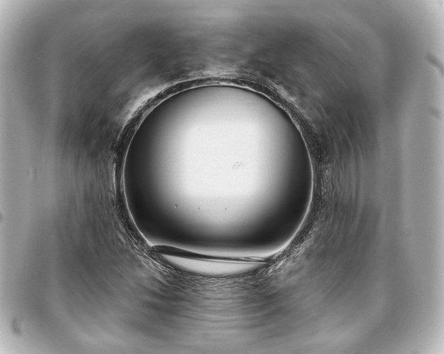 X0000097291214200802221304