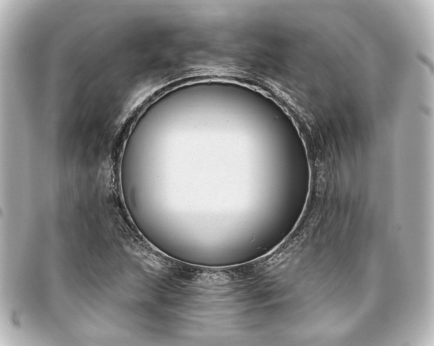 X0000097291215200802221304