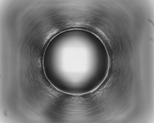 X0000097291218200802221304