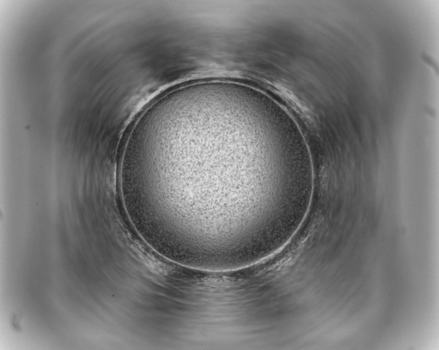 X0000097291220200802221304