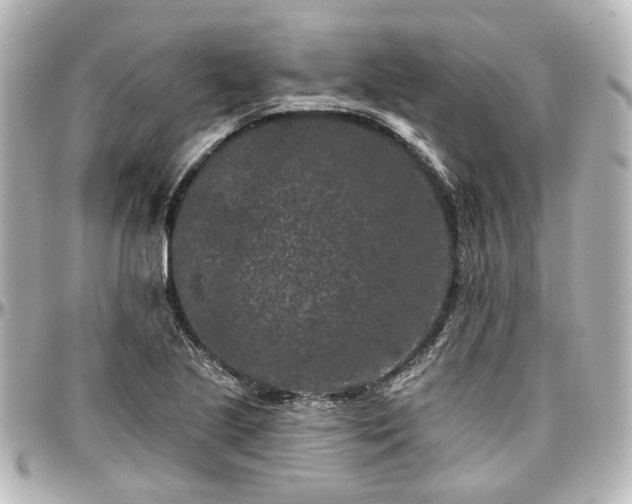 X0000097291221200802221304
