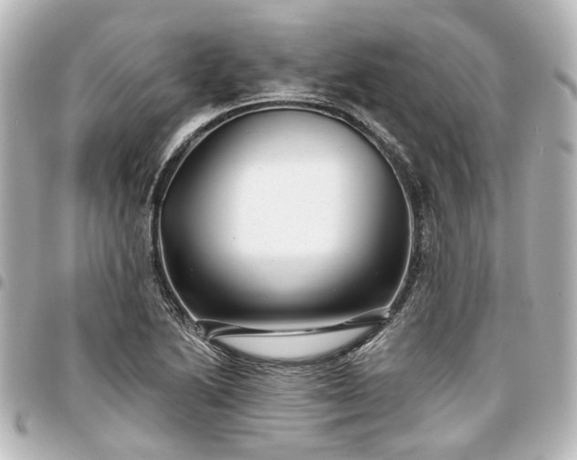 X0000097291222200802221304