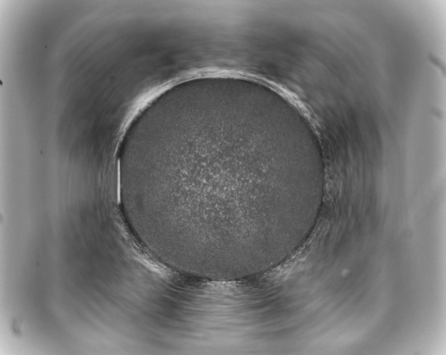 X0000097291223200802221304