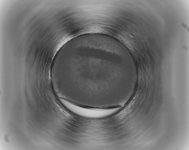 X0000097291226200802221304