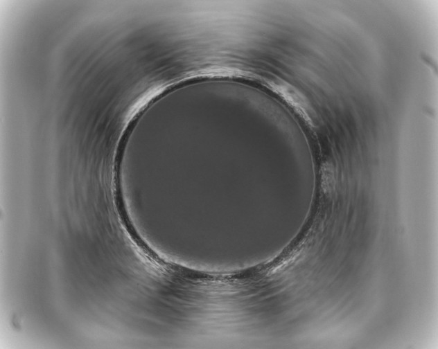 X0000097291229200802221304