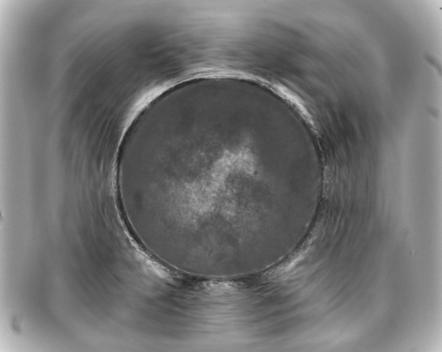 X0000097291231200802221304